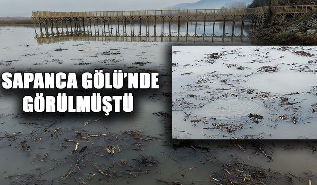 EFTENİ GÖLÜ’NDE KORKUTAN FOKURTU