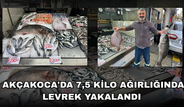 KİLOSU BİN LİRADAN TEZGÂHA İNDİ, İLGİ ODAĞI OLDU