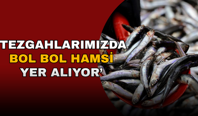 PALAMUT GÜRCİSTAN'A KAÇINCA TEZGAHLAR HAMSİYLE DOLDU