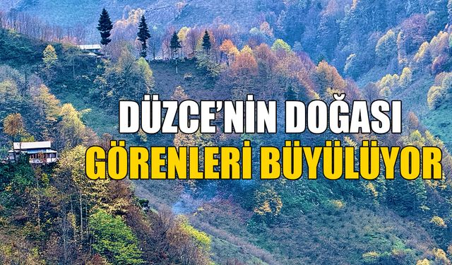 GÜZELDERE BÖLGESİ’NDE HAZAN MEVSİMİ TONLARI