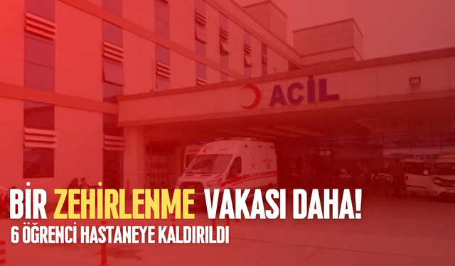 BİR ZEHİRLENME VAKASI DA DÜZCE'DEN
