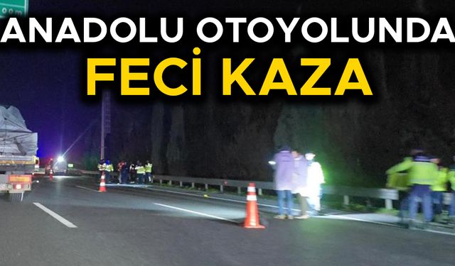 OTOMOBİLİN ÇARPTIĞI YAYA HAYATINI KAYBETTİ