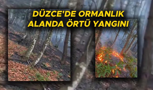 YANGININ ÇIKIŞ NEDENİ ARAŞTIRILIYOR