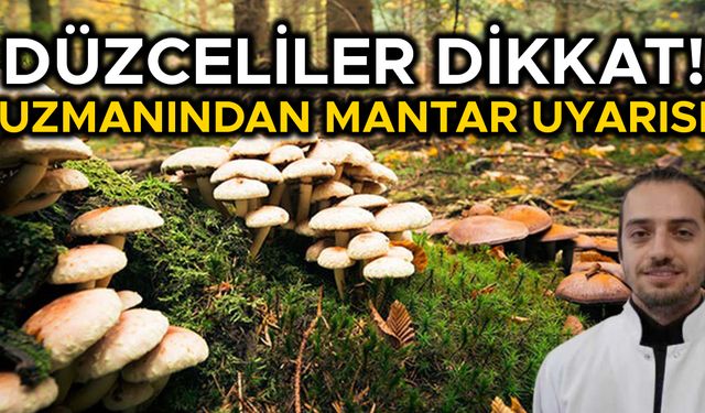 “DOĞADAN TOPLANAN MANTARLAR HER ZAMAN RİSKLİDİR”