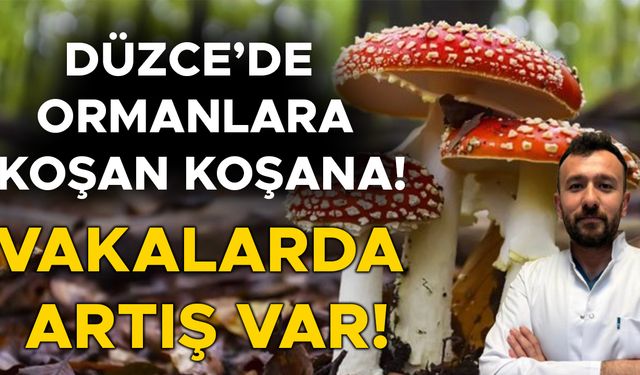 UZMANI UYARDI: TOPLAMAYIN, RİSK ALMAYIN!