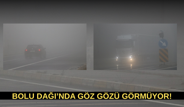 BOLU DAĞI'NDA GÖZ GÖZÜ GÖRMÜYOR