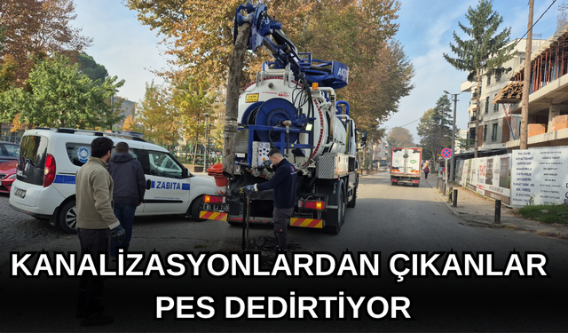 KANALİZASYONLARDAN ÇIKANLAR PES DEDİRTİYOR