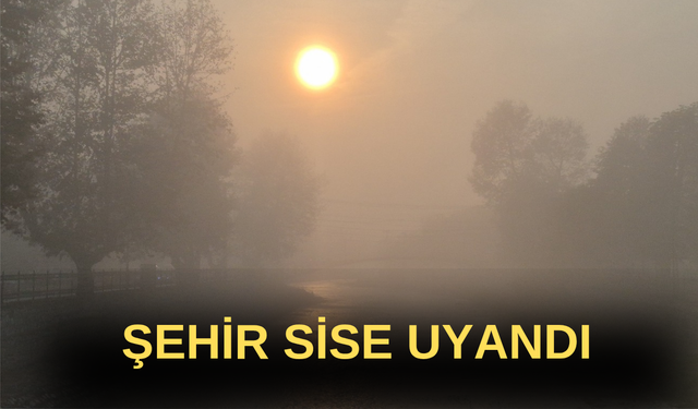 ŞEHİR SİSE UYANDI