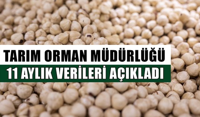 DÜZCE’DEN AB ÜLKELERİNE 16 BİN 350 TON FINDIK İHRAÇ EDİLDİ