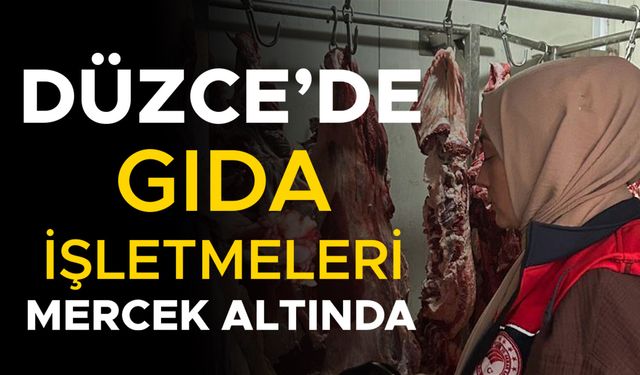 YÜZLERCE İŞLETME DENETLENDİ, BİRÇOK İŞLETMEYE CEZA UYGULANDI