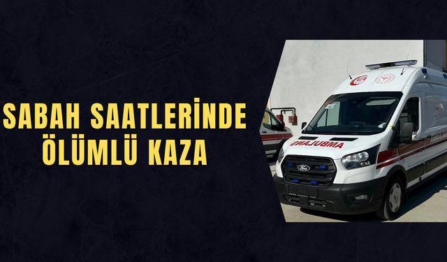 24 YAŞINDAKİ SÜRÜCÜ KURTARILAMADI
