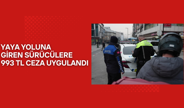 ZABITA VE POLİSTEN İSTANBUL CADDESİ’NDE ORTAK DENETİM