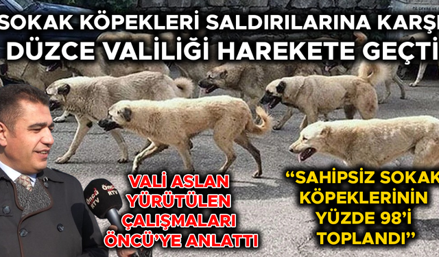 “DÜZCE SOKAKLARINDA ARTIK SAHİPSİZ KÖPEK OLMAYACAK”