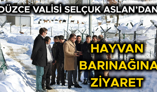 SOKAK HAYVANLARI İÇİN YÜRÜTÜLEN ÇALIŞMALAR HAKKINDA BİLGİ ALDI