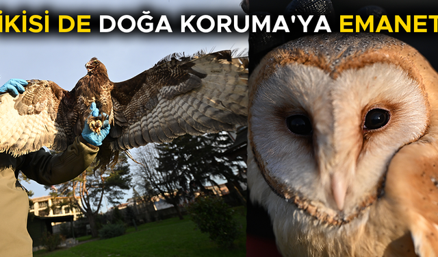 TEDAVİNİN ARDINDAN GÖKYÜZÜNE KANAT ÇIRPACAKLAR