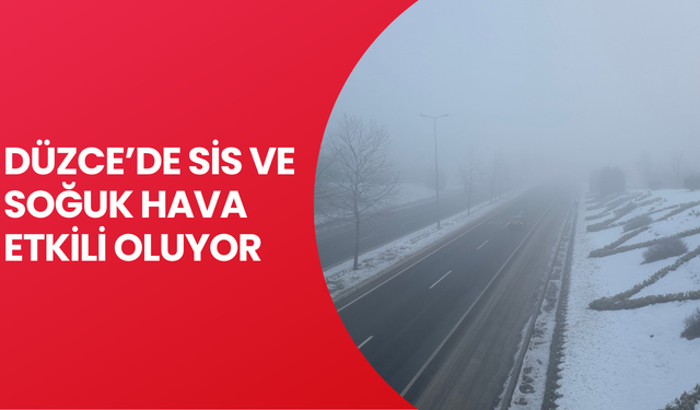 GİZLİ BUZLANMA SÜRÜCÜLERİ ZORLADI