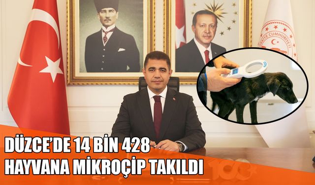 SOKAK HAYVANLARININ YÜZDE 99,3’Ü TOPLANDI