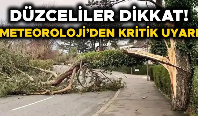 DÜZCE’Yİ KUVVETLİ RÜZGAR VE FIRTINA VURACAK