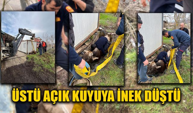 EKİPLERİN TİTİZ ÇALIŞMASI SONUCU İNEK KUYUDAN ÇIKARTILDI