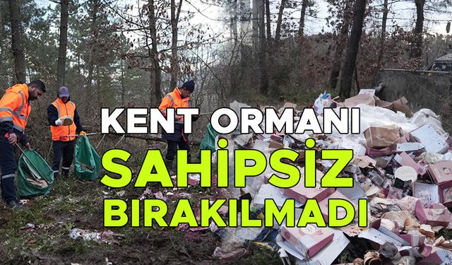 ÇEVRE KİRLİLİĞİ İHLALLERİNDE İDARİ SÜREÇ BAŞLATILACAK