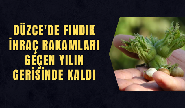 AB ÜLKELERİNE 2025 YILINDA 16 BİN 455 TON FINDIK GÖNDERİLDİ