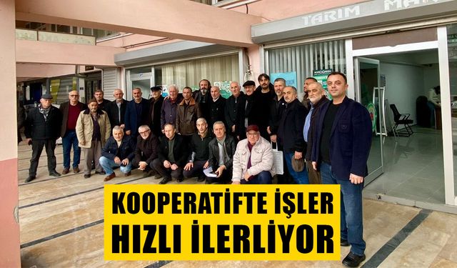 FINDIKÇILARIN YÜZÜ BU DEFA GÜLECEK GİBİ