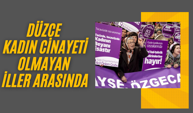 2025 YILINDA DÜZCE OLUMLU TABLODA YER ALDI