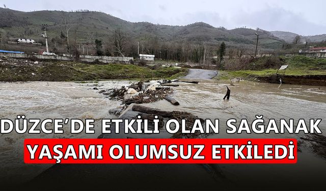 MELEN ÇAYI ÜZERİNDEKİ YOL YÜKSELEN SU NEDENİYLE ULAŞIMA KAPANDI