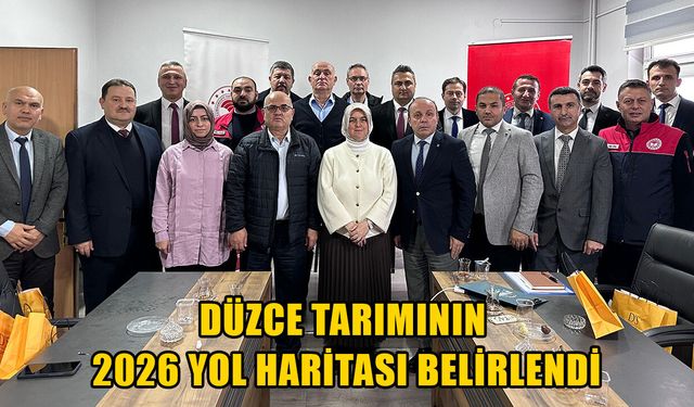 ÇALIŞMALAR KARARLILIKLA SÜRDÜRÜLECEK