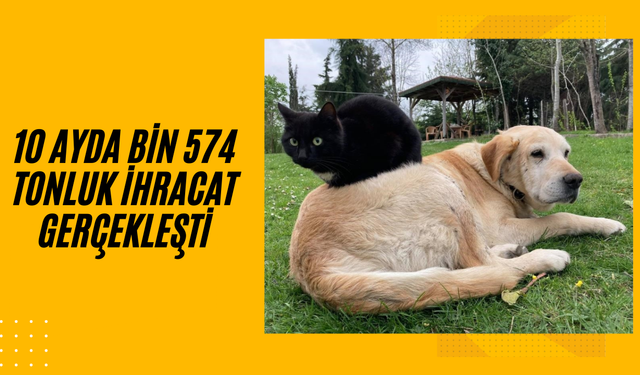 KEDİ KÖPEK MAMASI İHRACATI DÜZCE’DE REKOR SEVİYEYE ULAŞTI