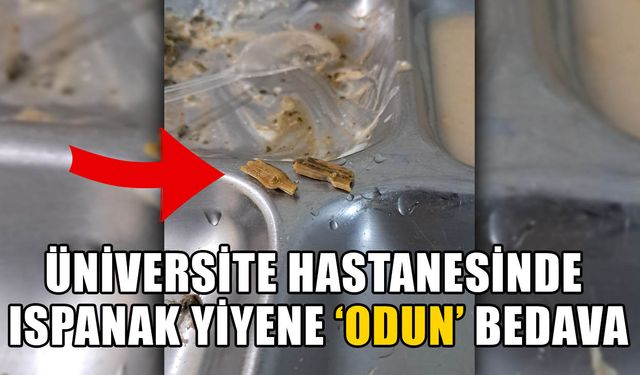 REFAKATÇİNİN YEMEĞİNDEN ÇIKANLAR MİDE BULANDIRDI