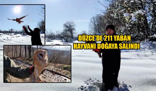 DOĞAYA DÖNEMEYECEK OLANLAR KORUMA ALTINDA