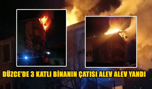 YANGIN 1 SAAT SÜREN ÇALIŞMA SONUCU SÖNDÜRÜLDÜ