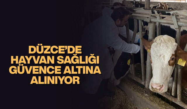 İLKBAHAR ŞAP AŞILAMASI BAŞLADI