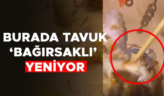 FAST FOOD ZİNCİRİNİN DÜZCE ŞUBESİNDE MİDE BULANDIRAN MANZARA