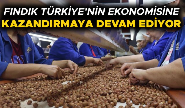 DÜZCE’DEN YÜZ BİNLERCE TON İÇ FINDIK AB ÜLKELERİNE İHRAÇ EDİLDİ