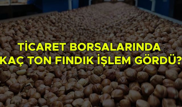 GTB VERİLERİ AÇIKLADI: DÜZCE 4’ÜNCÜ SIRADA