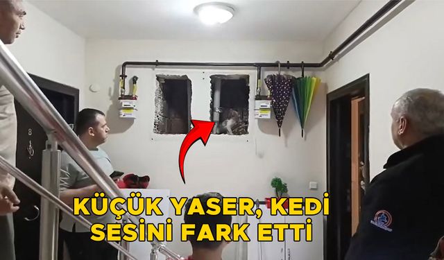 KEDİYİ DÜŞTÜĞÜ YERDEN KURTARDILAR