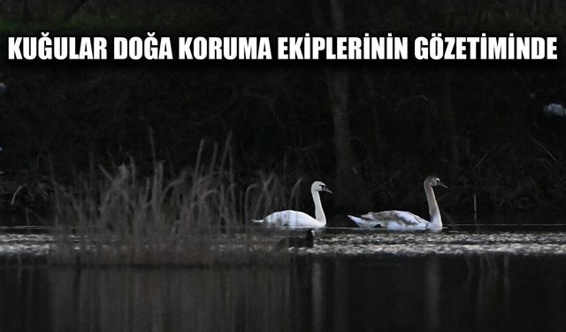 DÜZCE DOĞA KORUMA VE MİLLİ PARKLAR ŞUBE MÜDÜRÜ ŞİMŞEK: “ZİYARETİ ÇOK NADİR OLUYOR”