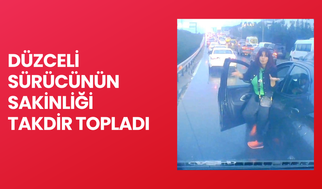 KADIN SÜRÜCÜ ÖNÜNE KIRDI, ARACA ÇARPTI, YETMEDİ ARABADAN İNİP TACİZ ETTİ