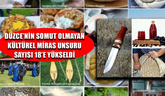 3 YENİ UNSUR ENVANTER LİSTESİNE EKLENDİ