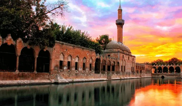 Can Dostlar İçin Seferberlik: Modern Barınak Projeleri Hayata Geçiyor