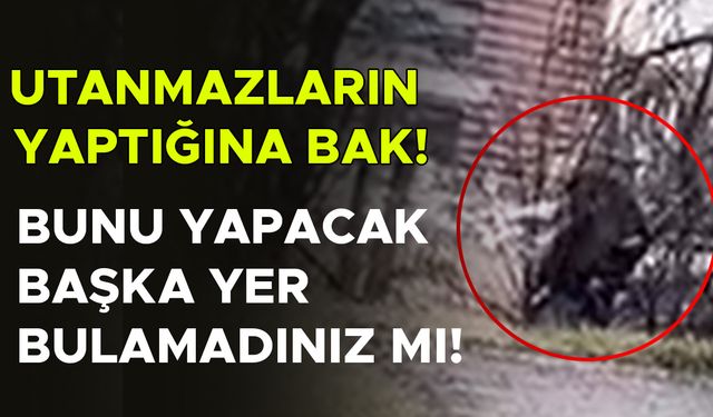 YAŞANAN REZİLLİĞE ŞAHİT OLAN VATANDAŞ: “EDEPSİZLİKLERİNİ SOKAKTA YAŞIYORLAR”
