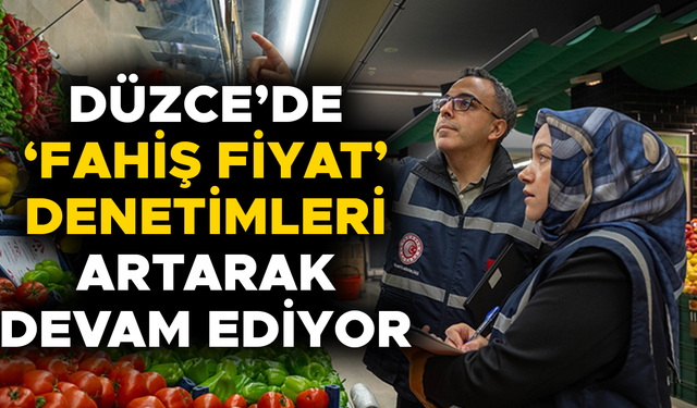 ÇOK SAYIDA FİRMA DENETLENDİ, YÜKSEK MİKTARDA PARA CEZASI UYGULANDI