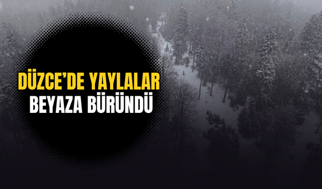 SİNEKLİ VE SAKARCA YAYLALARINDA KAR KALINLIĞI 1 METREYİ BULDU