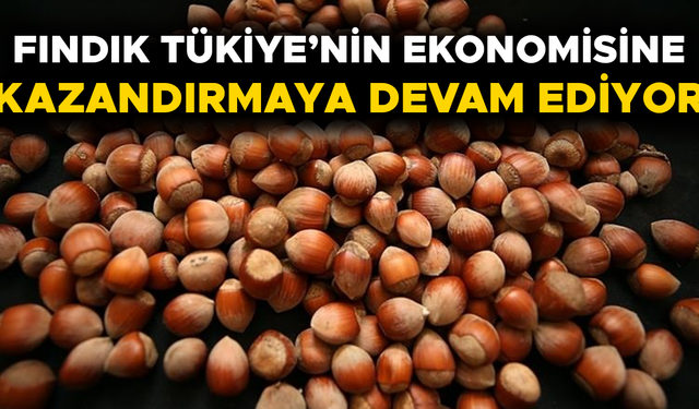 MİLYONLARCA DOLAR GELİR ELDE EDİLDİ