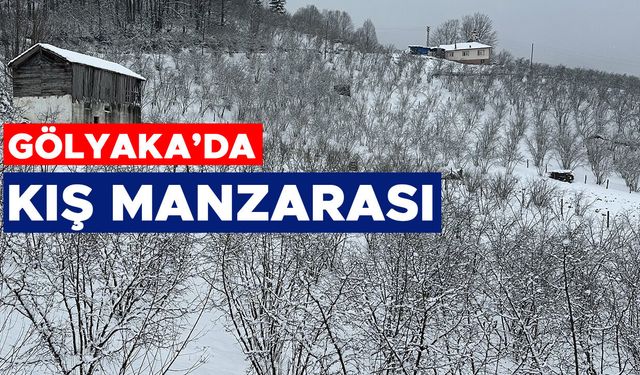 YÜKSEK KESİMLER BEYAZ ÖRTÜYLE KAPLANDI