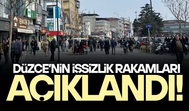 DÜZCE’DE İŞSİZLİK ORANI DEĞİŞMEDİ