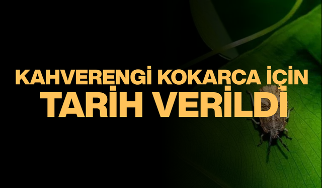 2030’DAN SONRA ETKİSİ AZALACAK