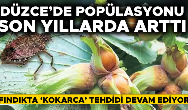 KIŞLAK MÜCADELESİ İÇİN HAZIRLIKLAR TAMAMLANDI